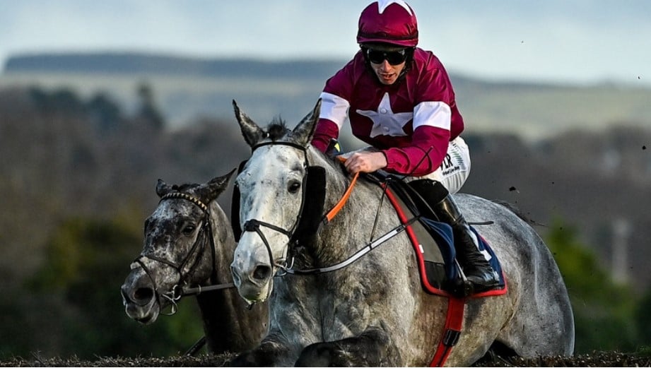 Grand National 2024 Tips | Final selections for Aintree
